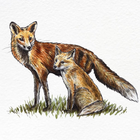 Fox Print