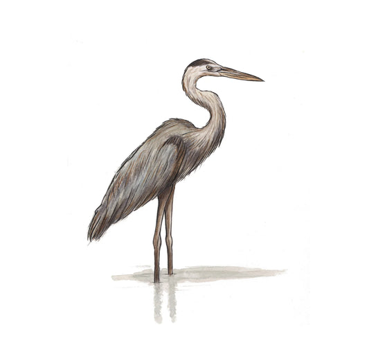 Heron Print