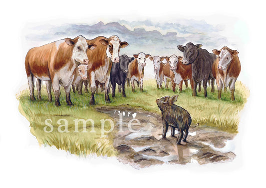 Monty and the Cows