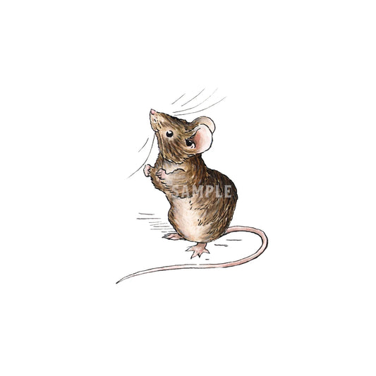 The Little Mouse